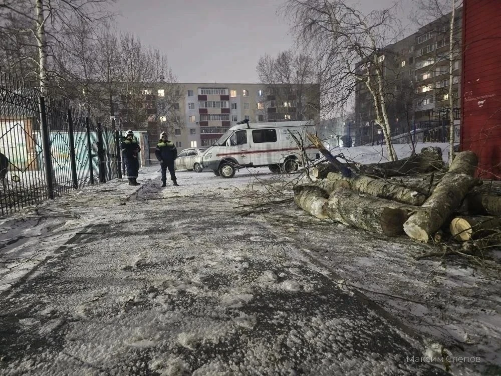 🌪️ В Сургуте сильный ветер валит деревья.  На дороги, автомобили и линии электропередачи падают дере