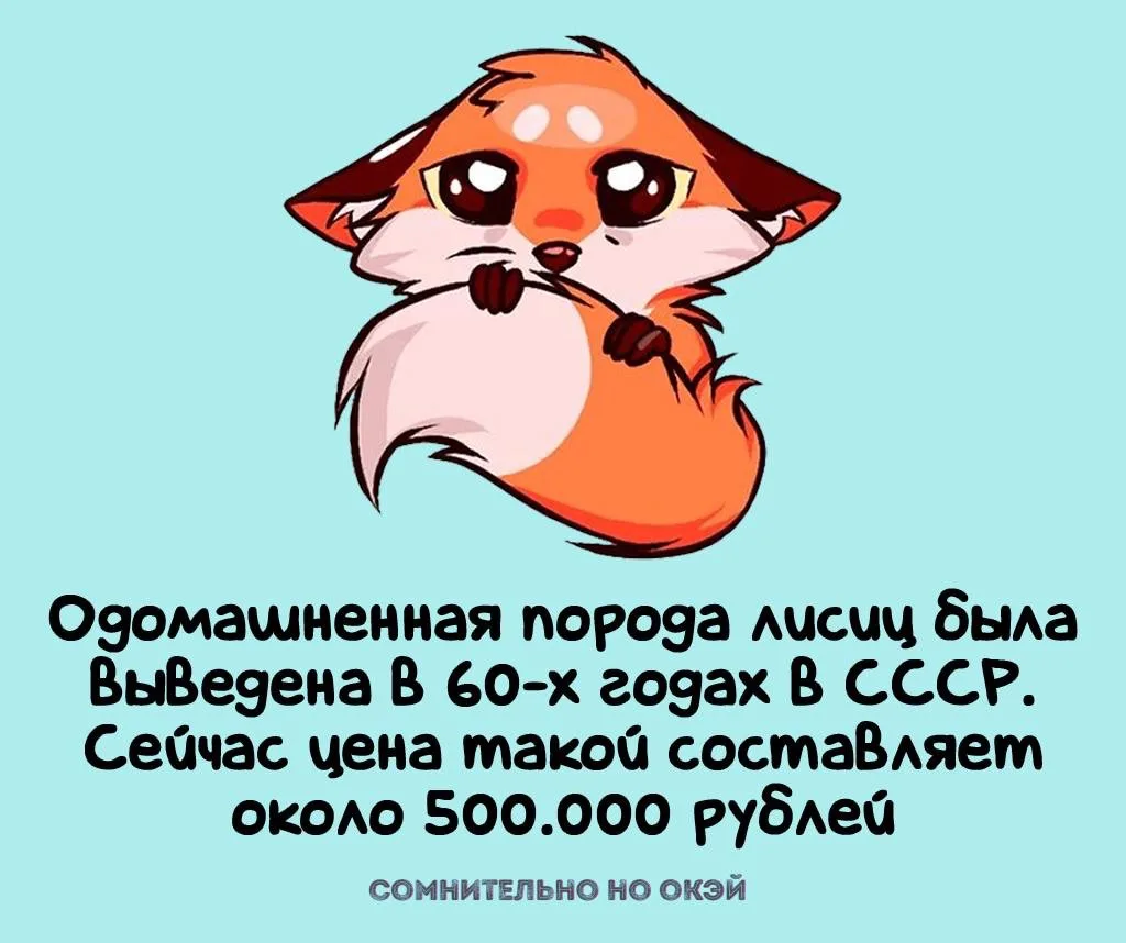 Признавайтесь, знали?
❤️ - знал
🤯 - удивлен

🖐Сомнительно, но окэй