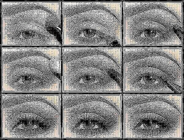 Фото