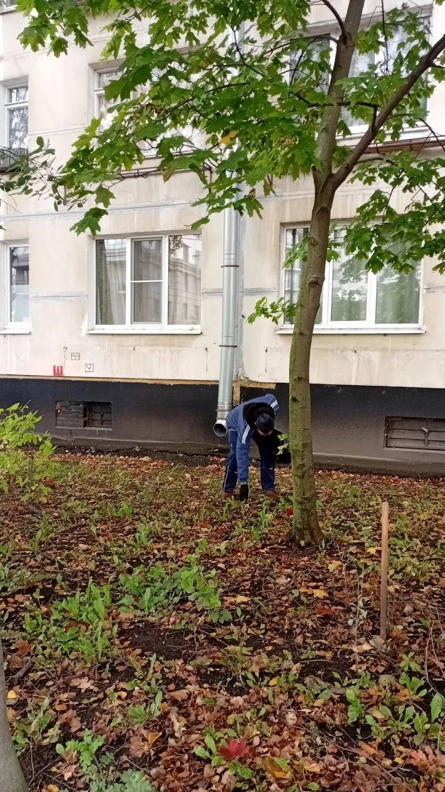 Уборка подходов и отмостки многоквартирного дома по адресу: улица Костюшко, д. 15