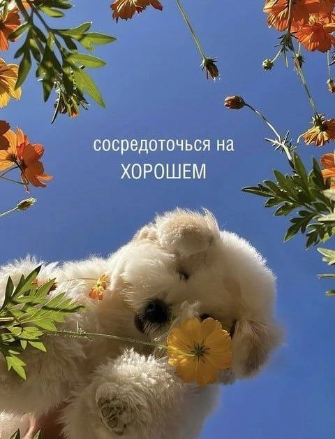 Удачи на ЕГЭ и ОГЭ сегодня ❤️