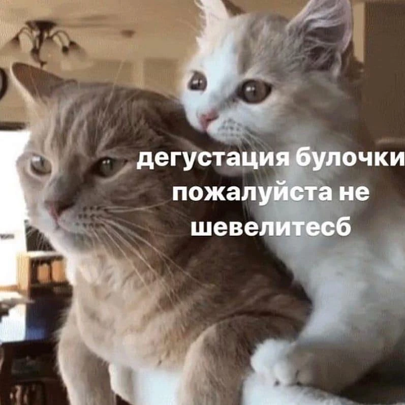Мемы каждый день • Подписаться