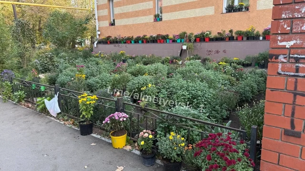 Своими руками создают красоту у дома жители Альметьевска