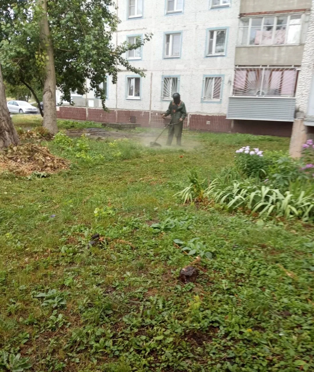 Сезон борьбы с высокой травой в городе официально открыт, но вместе с сорняками под нож...