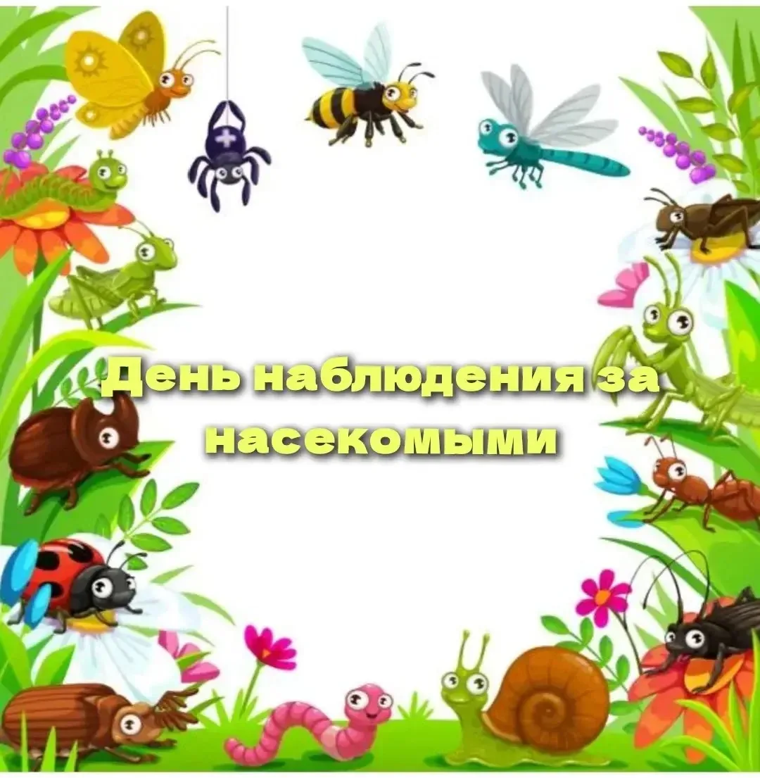Наблюдение за насекомыми
🐝🐛🦋🐞🐜🪳🪲🦗
Задачи:
🦋Расширять знания детей о разнообразии насекомых;