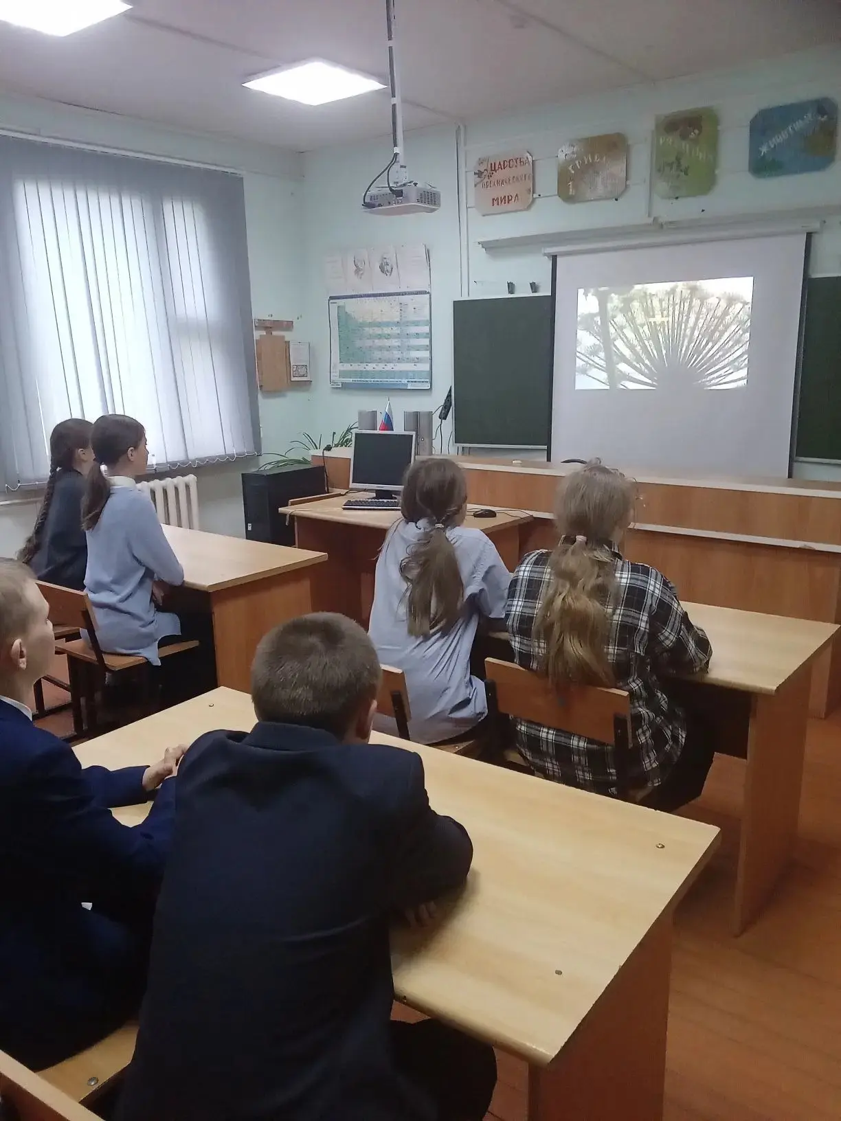 ❗️Осторожно, опасные пришельцы! Урок про борщевик для 5–7 классов
