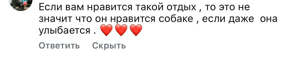 Как считаете? Надо ли жалеть Чипа и оставлять его теперь дома, а то вдруг ему не нравится

PS собаки