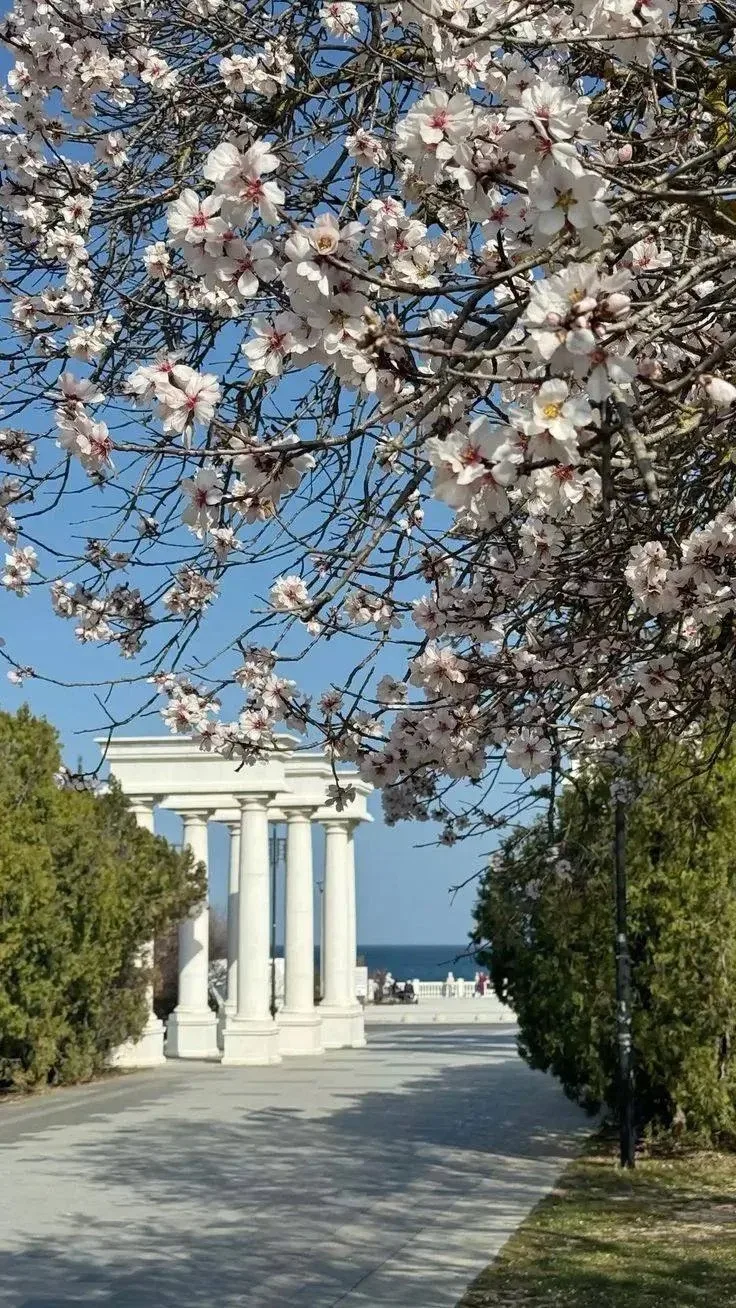 Дорогие севастопольцы!

Сегодня у нашего любимого Города-Героя День рождения.

Наш город выдержал 34