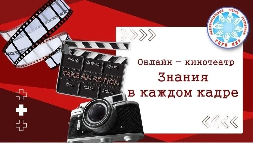 А вы видели когда-нибудь живую акулу?  А ведь этих хищников большое количество видов!