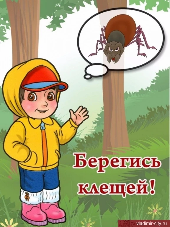 Памятка для родителей "Осторожно,клещи!"