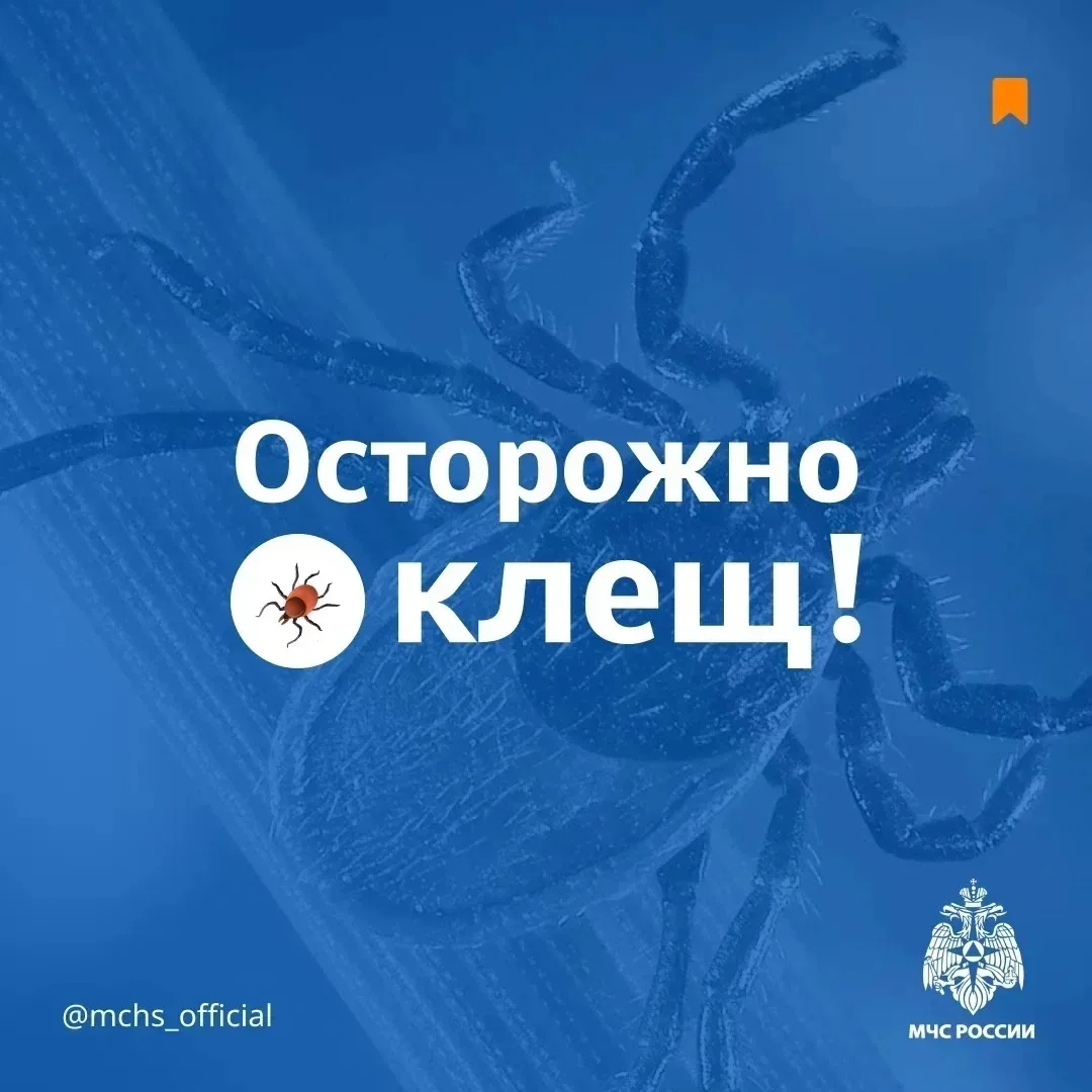 🌳Безопасность выходного дня: отдых на природе