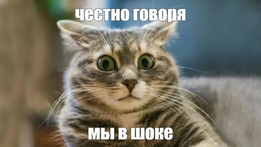 😨 Перенесли рейс на 2 дня... раньше: семья не может вернуться в Самару и застряла на М...