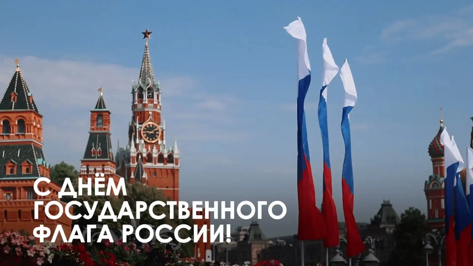 🇷🇺Бело-сине-красный триколор — это не просто государственный символ, это воплощение н...