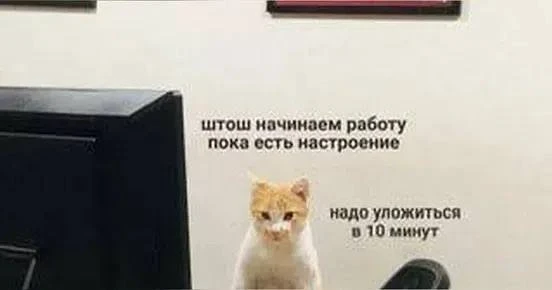 Мемы - зло?