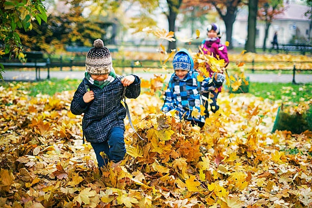 5 шагов к здоровой осени в детском саду 🎒🍂**Осень — время активных игр, общения с дру...