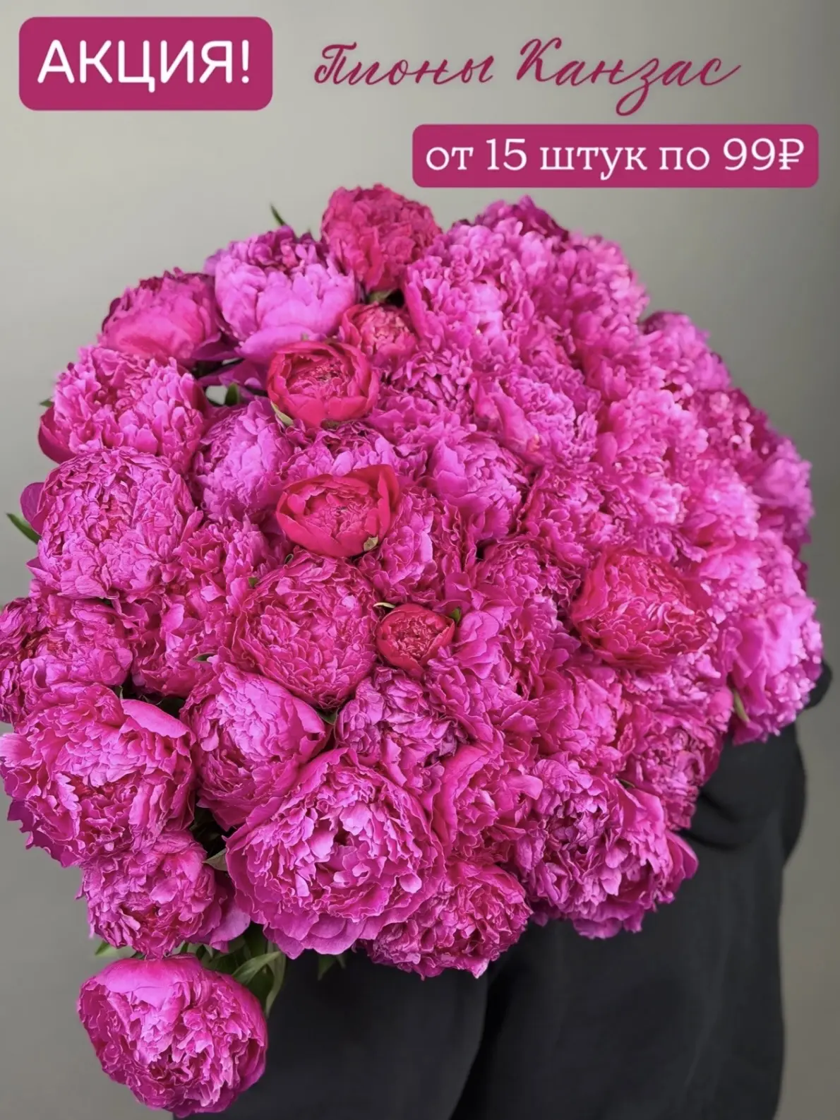 😍Пионы «Канзас» 99₽!
