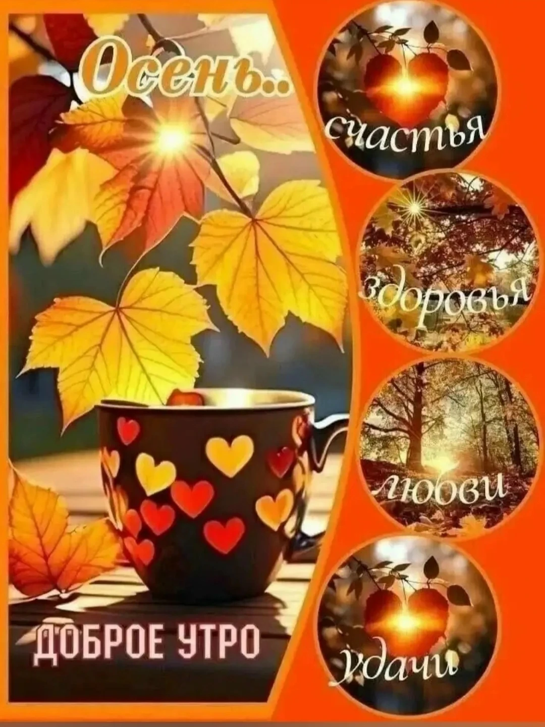 ❤Доброе утро, дорогие друзья❤