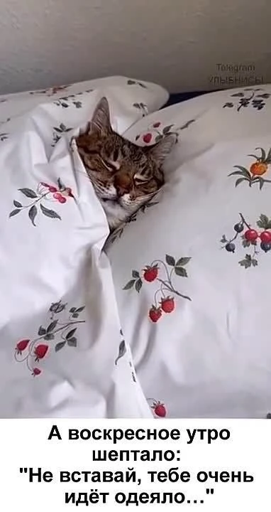 Всем доброго воскресного!😎