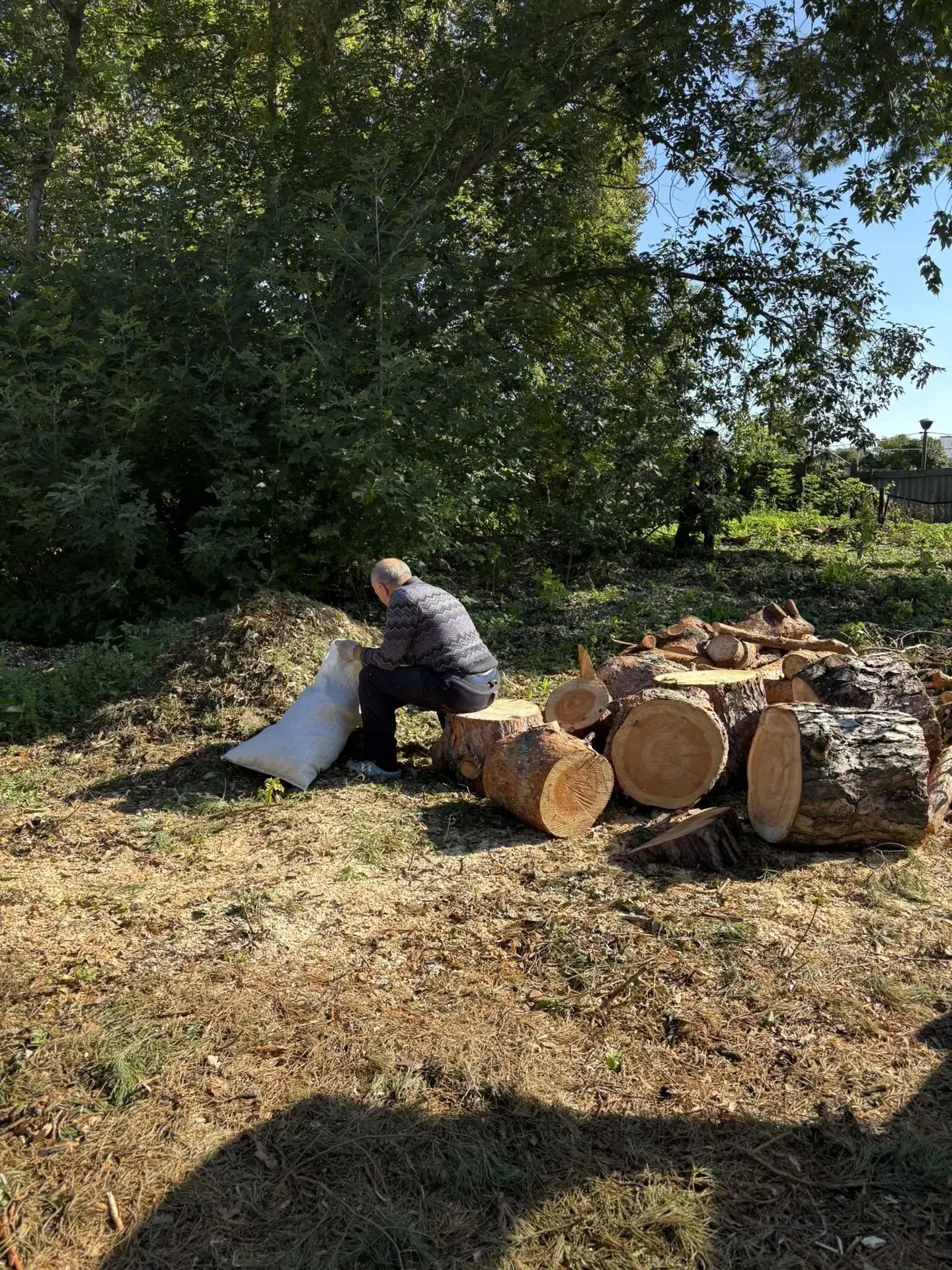 🍂🍁🍂 Субботник в Бирюлинской ДШИ им. С. Сайдашева.