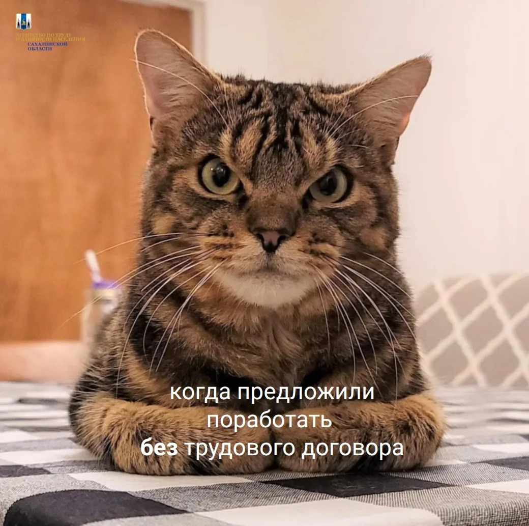 😐Если нет трудового договора - работодатель может не выплатить заработную плату, а так...