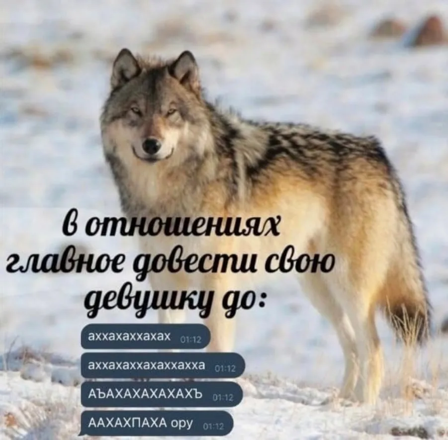мемы / приколы / юмор / смешно