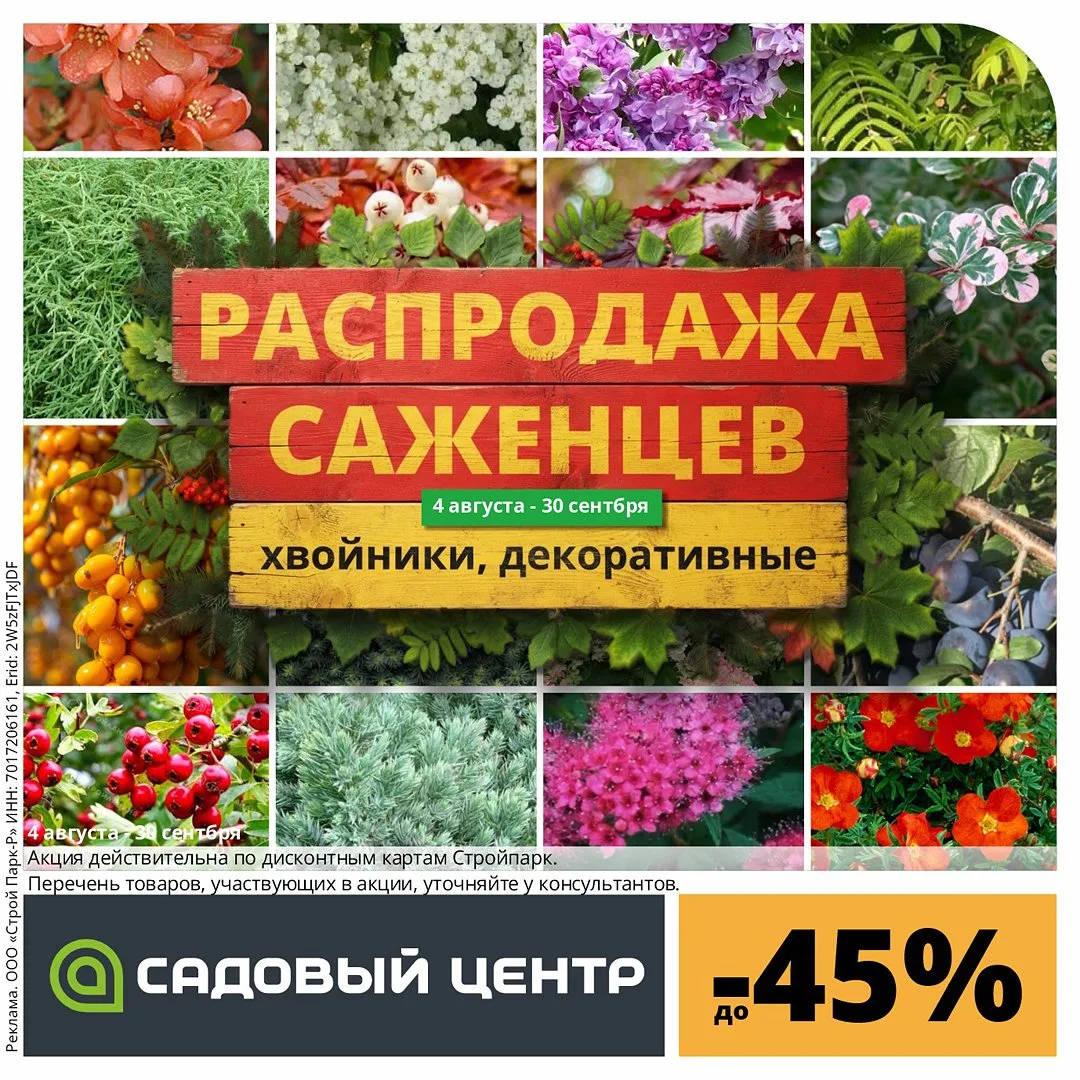 Распродажа!