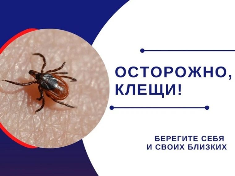 🕷️ Осторожно, клещи! Сезон активности продолжается