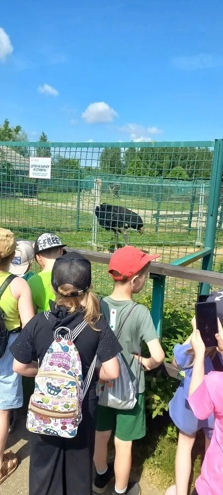 Поездка в зоопарк: ещё один насыщенный день в лагере школы №67.