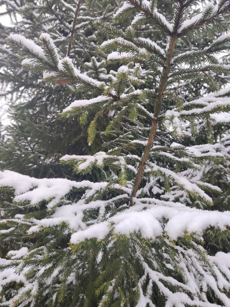 ❄️ Апрель, ты ли это? ❄️