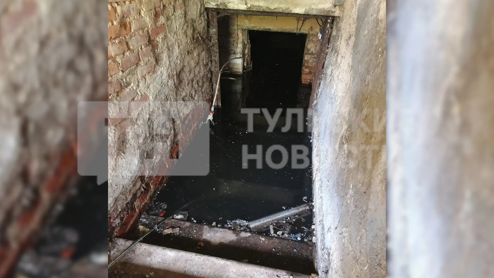 УК пообещала помочь с затопленными подвалами и грызунами в домах на Комарской