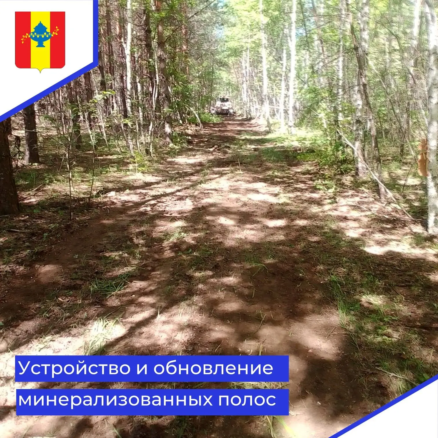 Собственником земель сельскохозяйственного назначения, прилегающим к землям лесного фон...