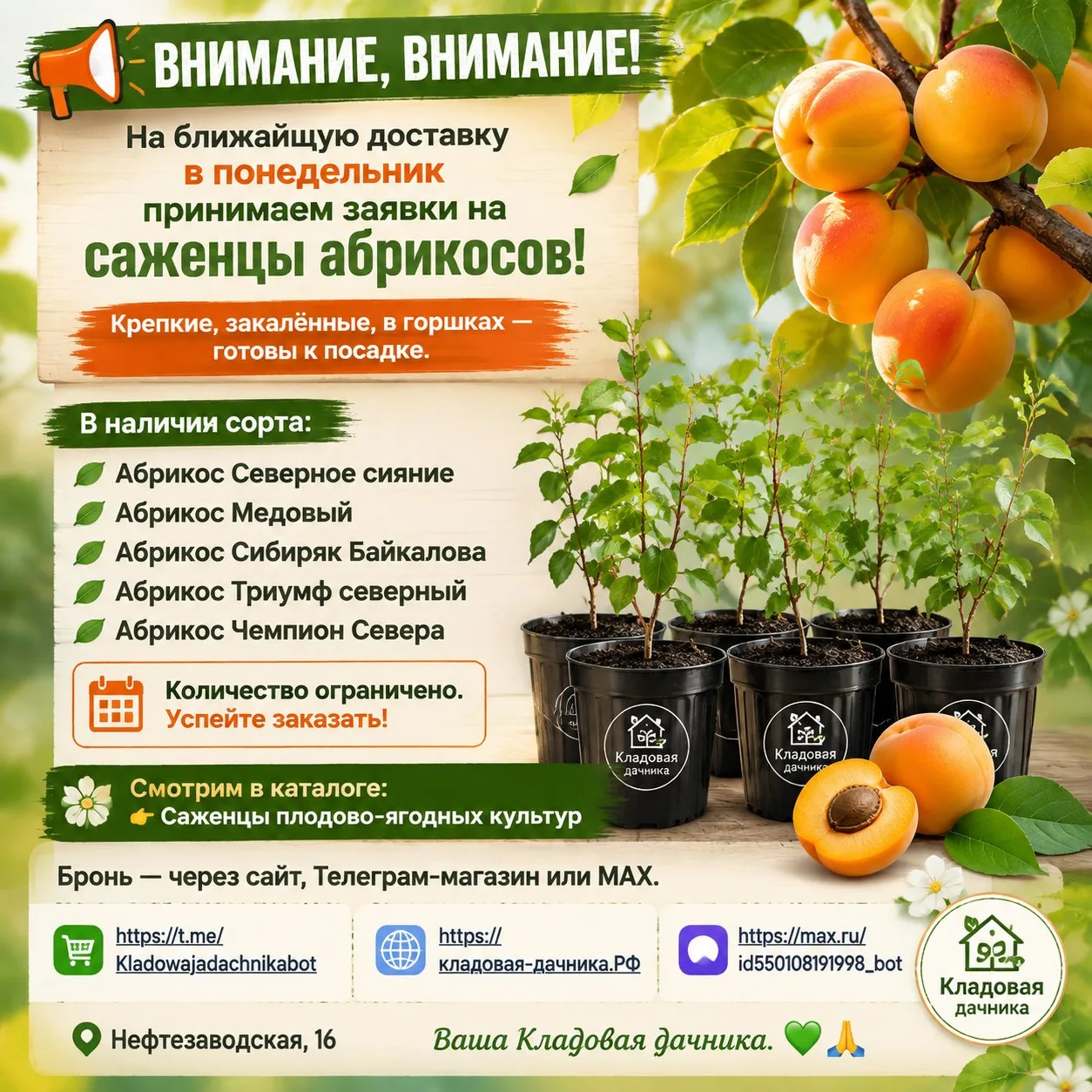 🌿 ВНИМАНИЕ, ВНИМАНИЕ! 📣