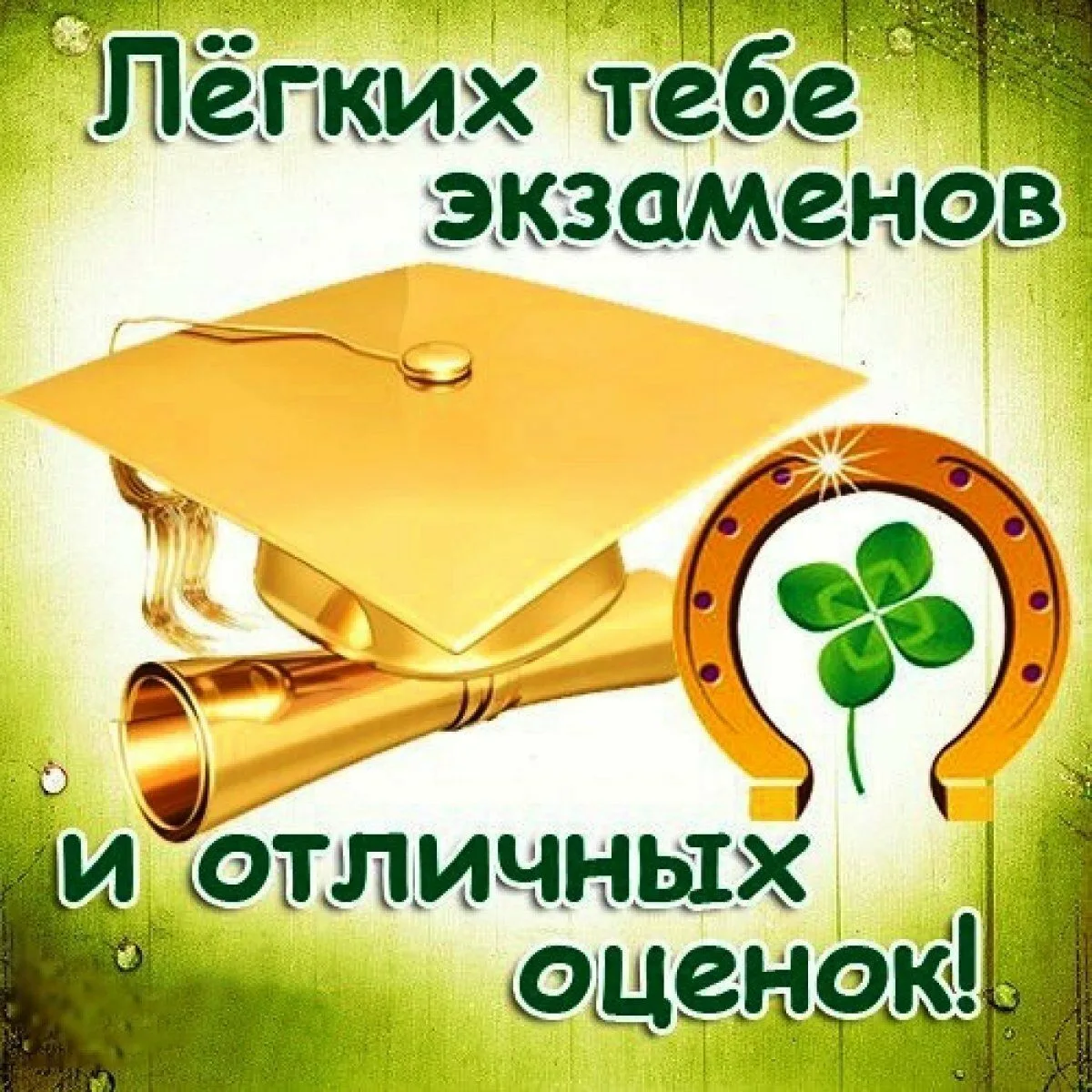 ❗️Сегодняшнее утро для многих девятиклассников, их родителей и учителей выдалось по-нас...