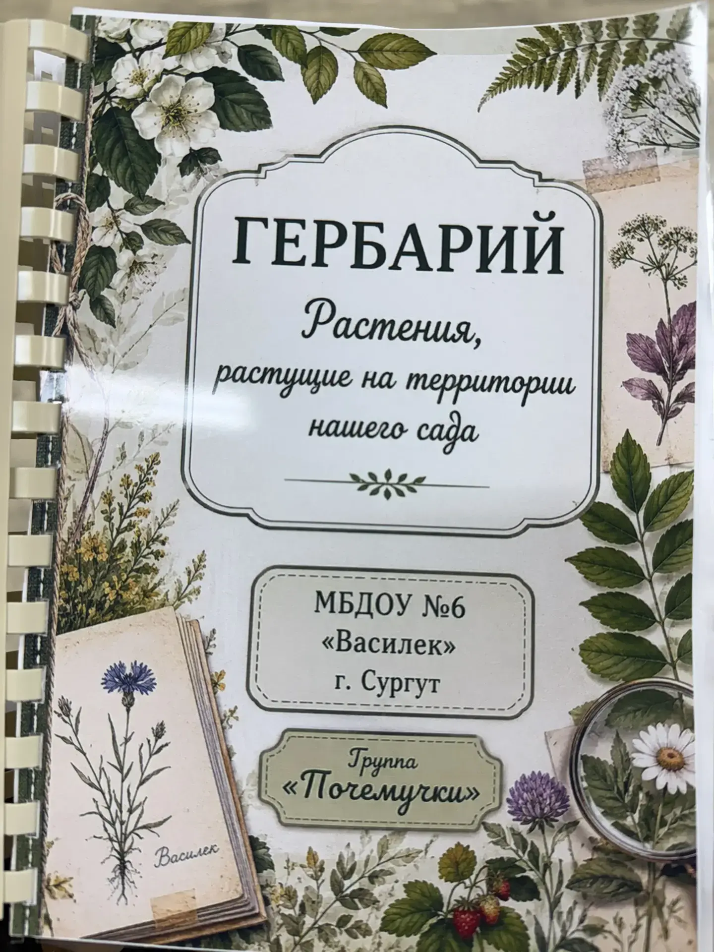 В группе «Почемучки» завершился детский мини-проект «Собери гербарий для уголка экологии»!