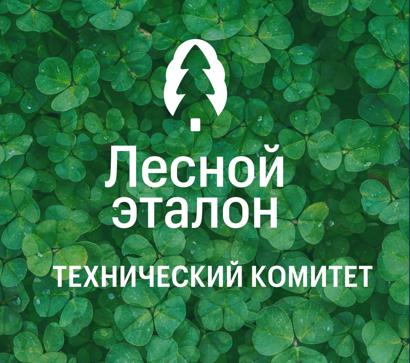 Технический комитет системы «Лесной эталон» обсудил актуальные вопросы стандарта лесоуп...
