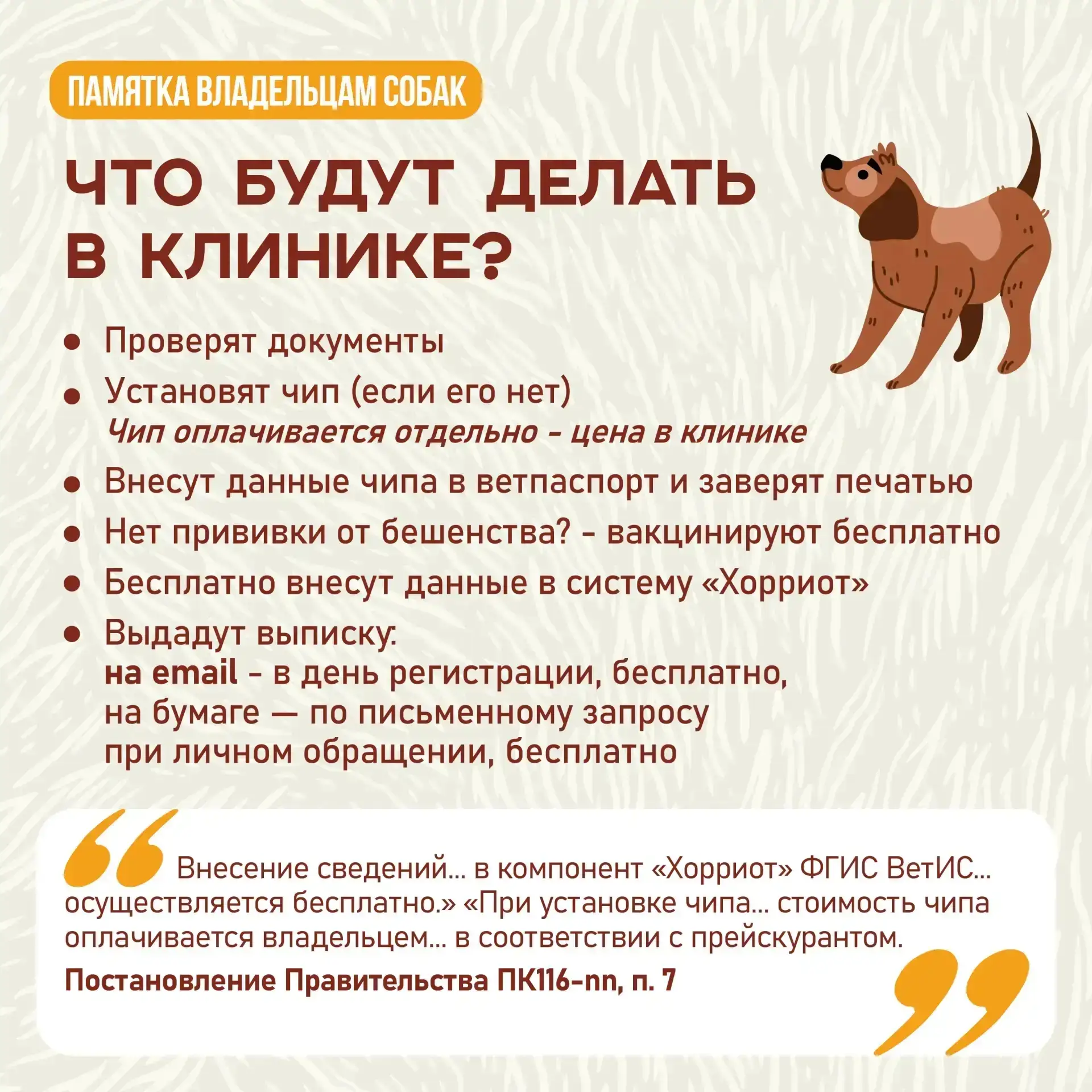 А у вас дома живет собака? Тогда вам нужно ее зарегистрировать!  ‼️Процедура обязательна вне зависим