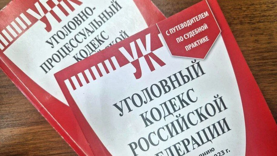 Предпринимателя из Нижнесерогозского округа будут судить за мошенничество с субсидией

«Установлено,