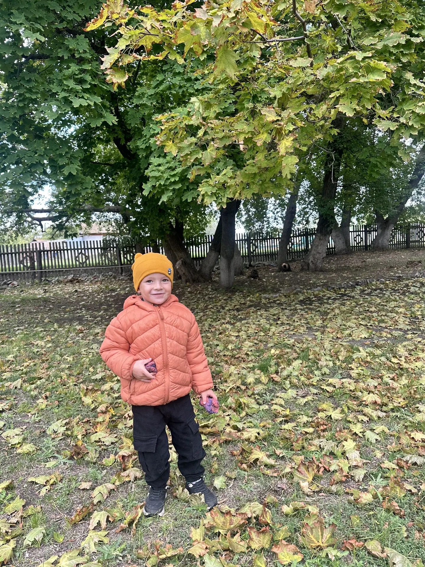 После садика с Добрыней зашли пошуршать по ковру из листочков😁👍
