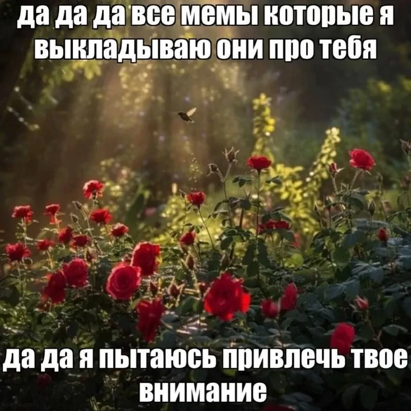 Доброе утро