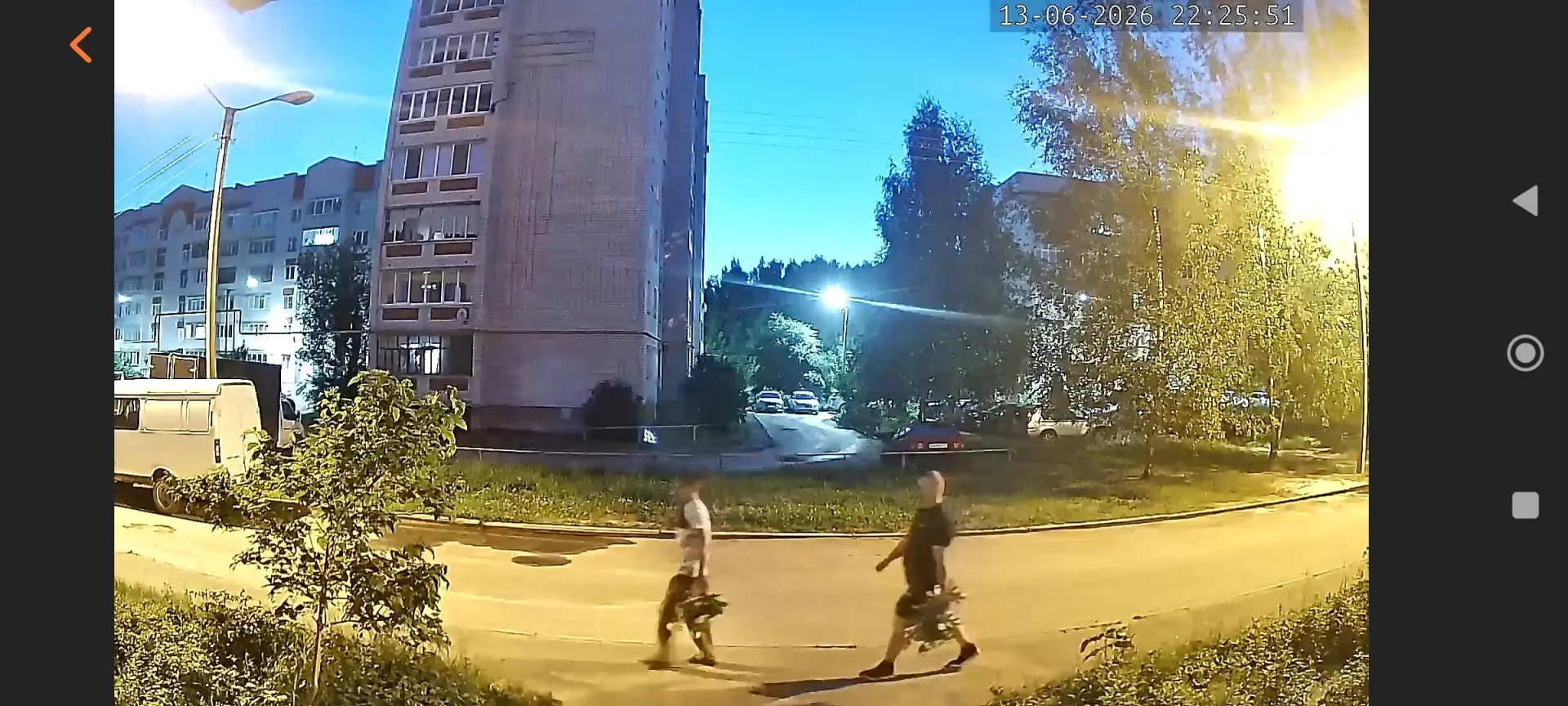 Анонимно
Сегодня ночью эти два засранца обчистили все клумбы у нашего дома, ни одной не пропустили! 