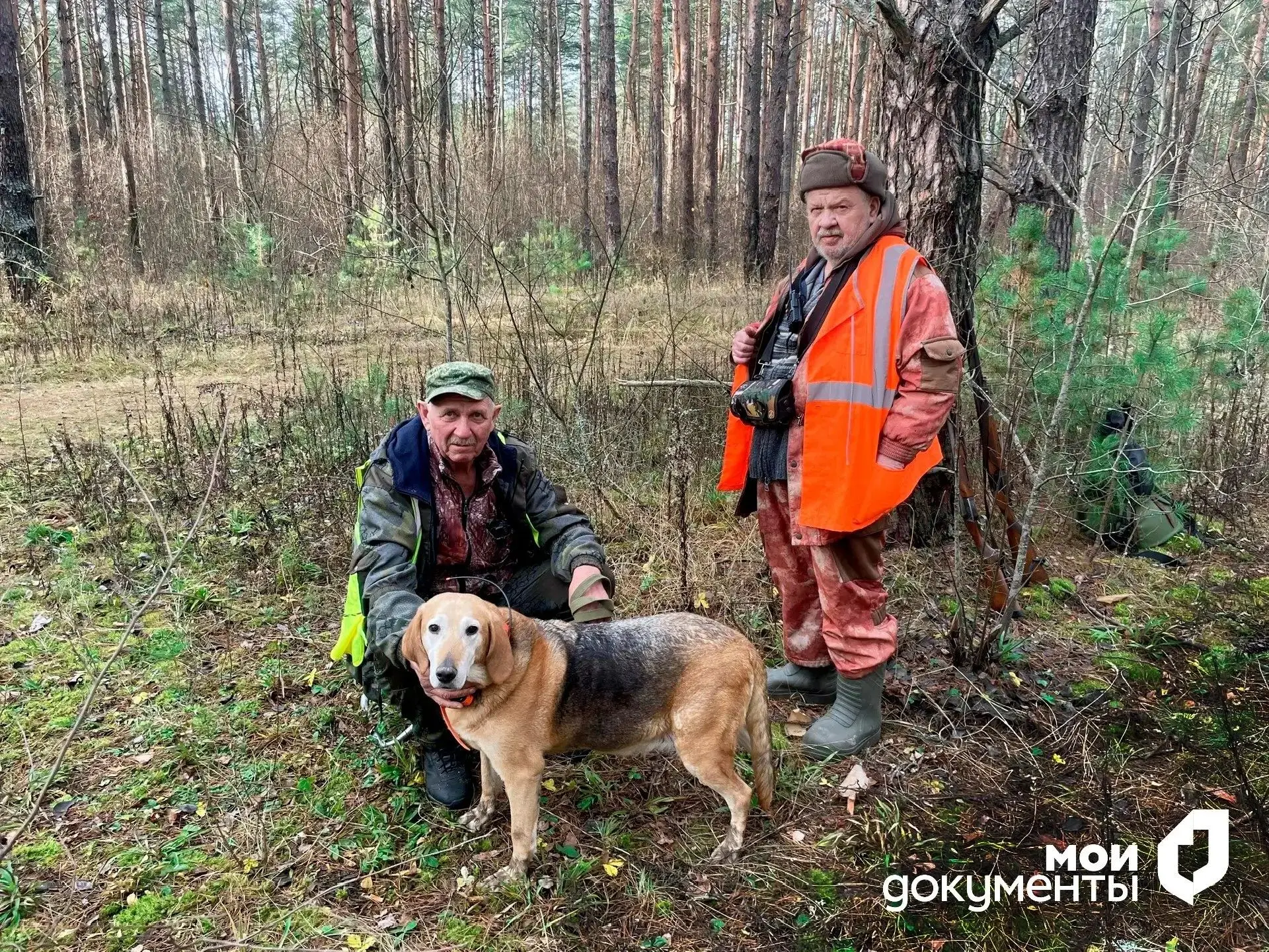 🦆 Охота в сентябре: что можно, а что нельзя