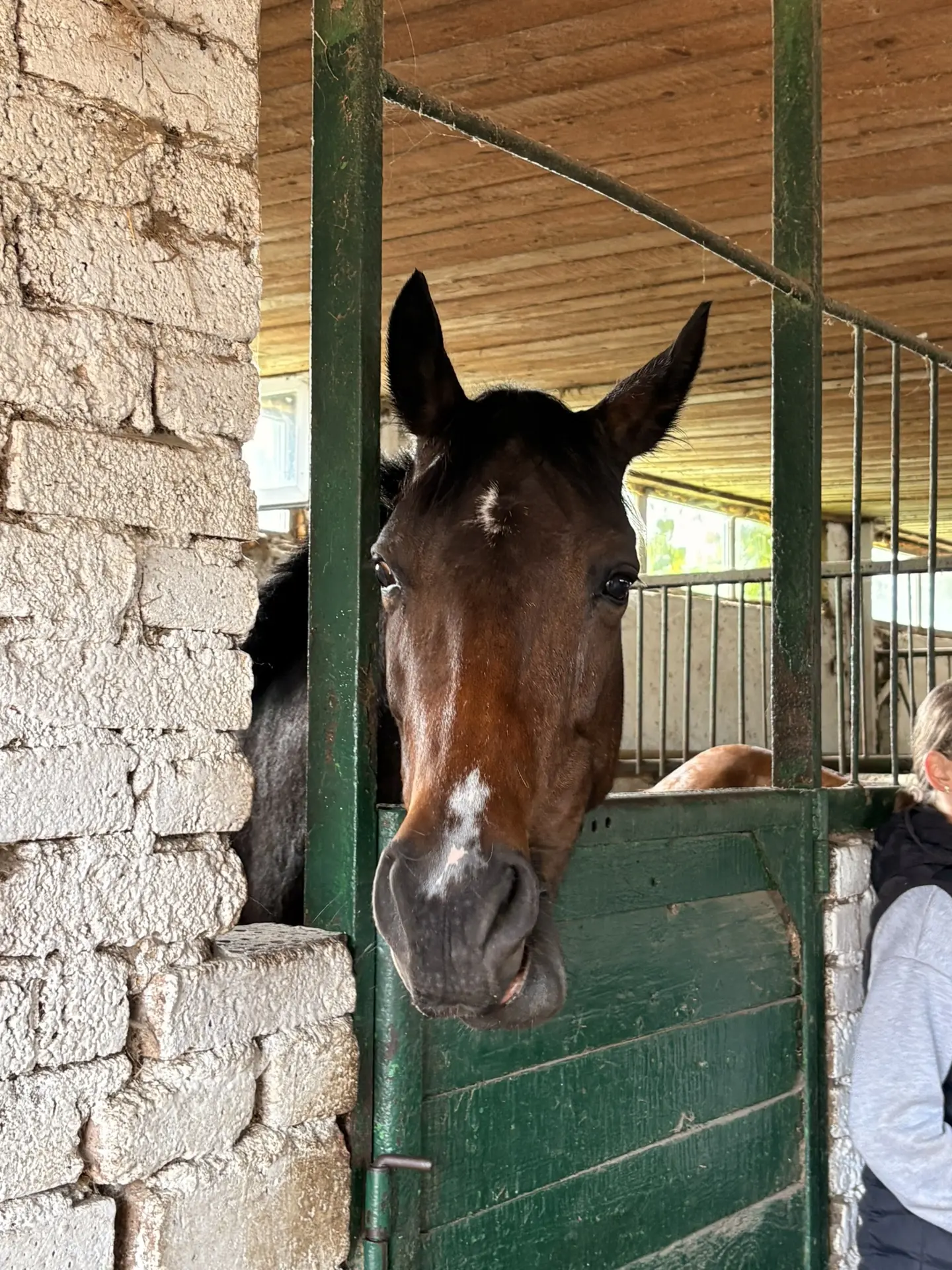 Привет от Лененды🐴