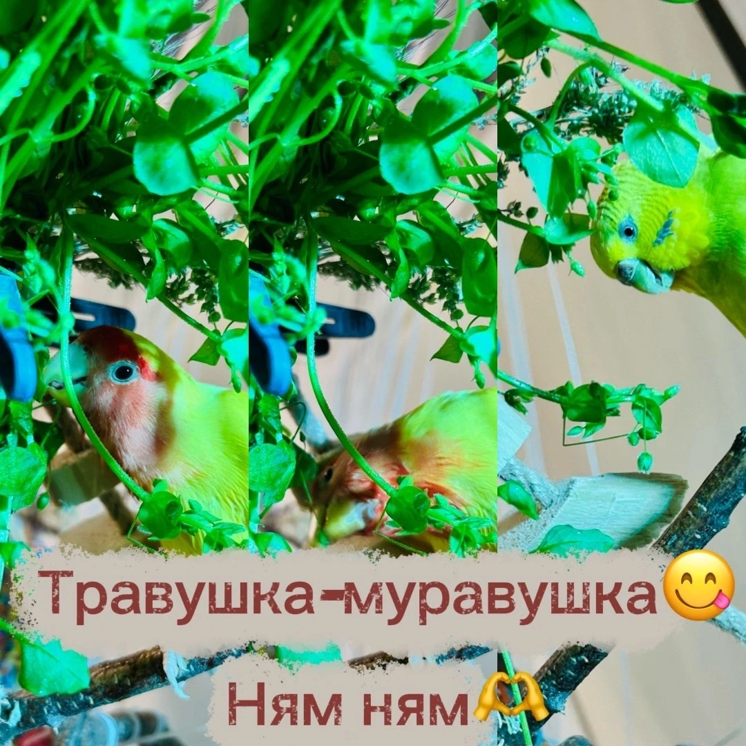 С пятницей💃