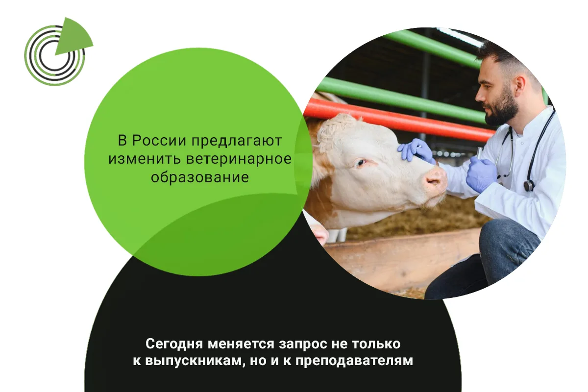 В РОССИИ ПРЕДЛАГАЮТ ИЗМЕНИТЬ ВЕТЕРИНАРНОЕ ОБРАЗОВАНИЕ