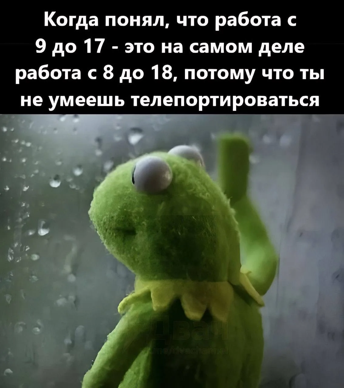 👉Ой, всё! Подписаться