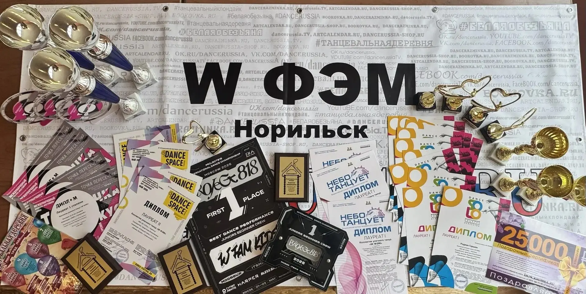 Недавно коллектив уличного танца «W ФЭМ» (руководитель Зуева А.В.) вернулся из Москвы, ...
