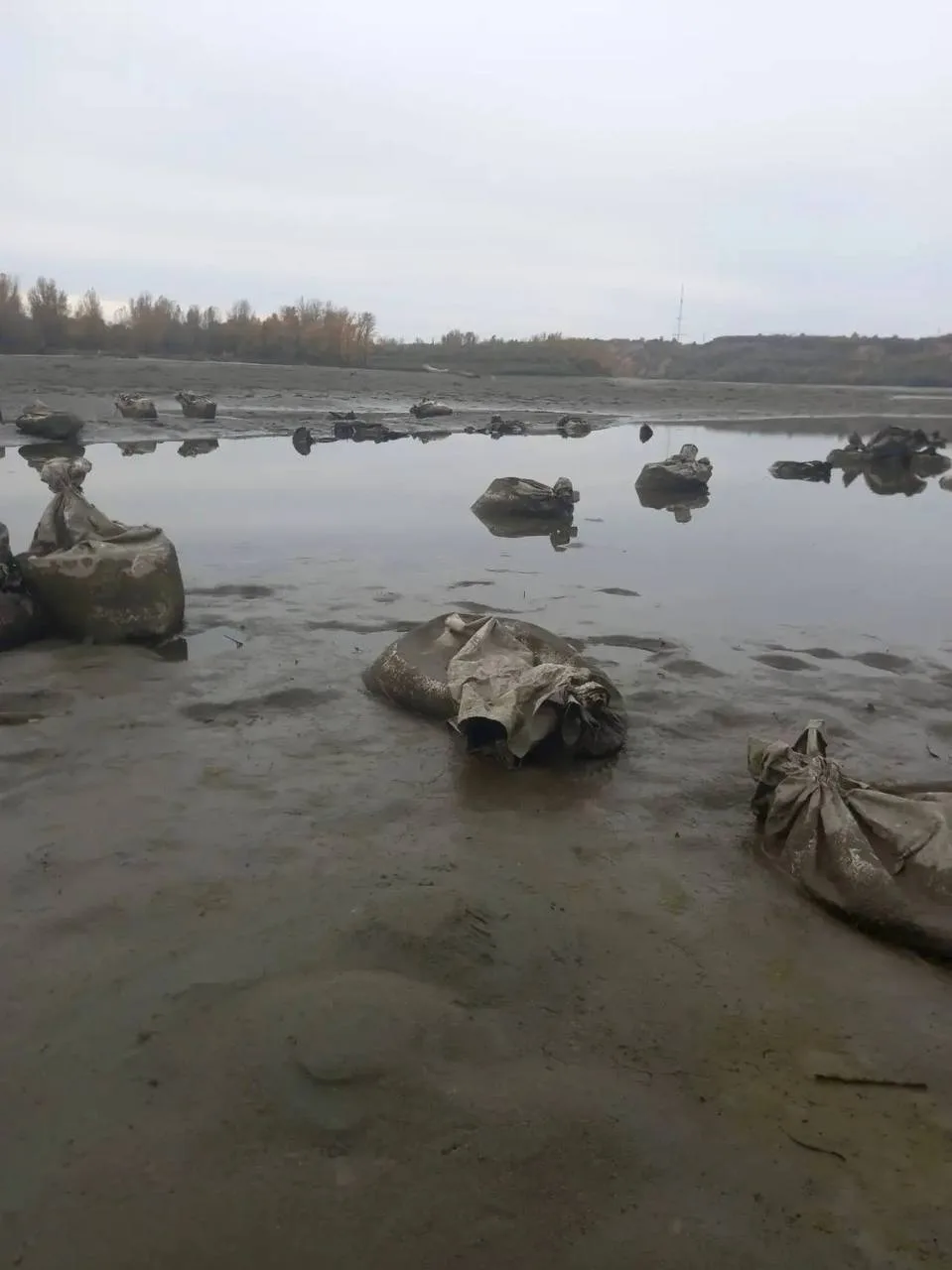 На городском пляже в Барнауле наблюдается проблема с уборкой. После завершения пляжного...