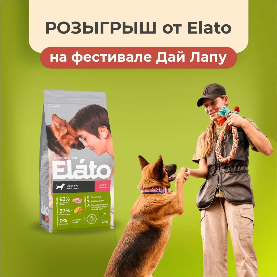 🔥ВНИМАНИЕ, КИРОВ!