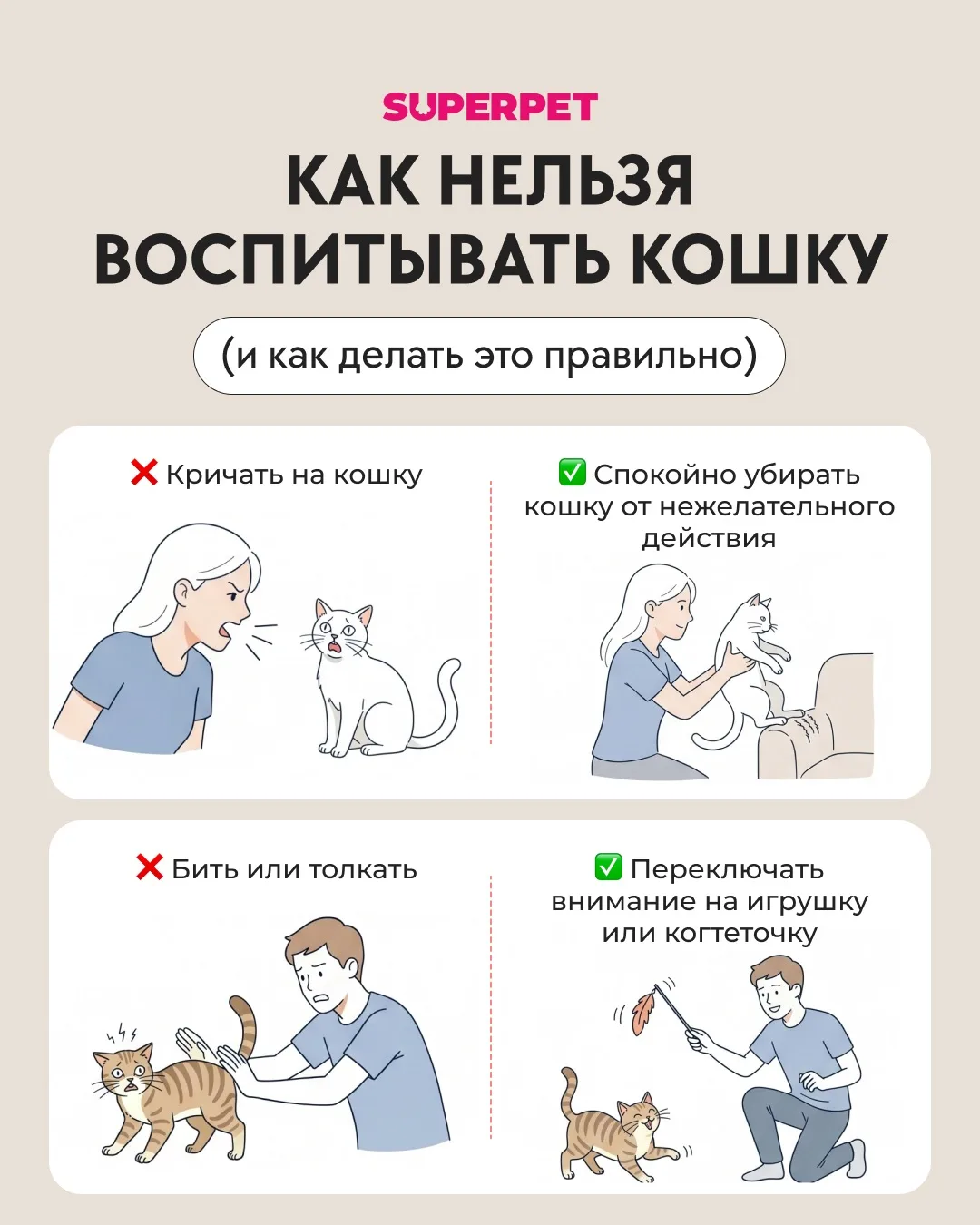 Как нельзя воспитывать кошку?