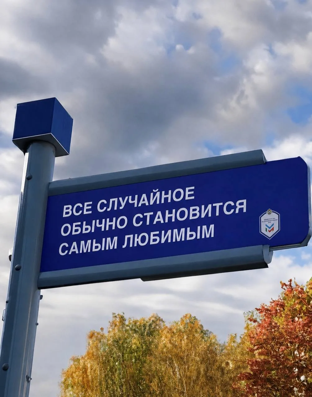 🤍Иногда самое любимое приходит в нашу жизнь совершенно случайно.